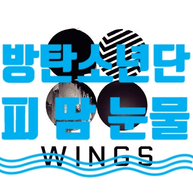 방탄소년단(BTS) - 피 땀 눈물 (2집 WINGS / 듣기 / 가사 / 뮤비) ~처럼
