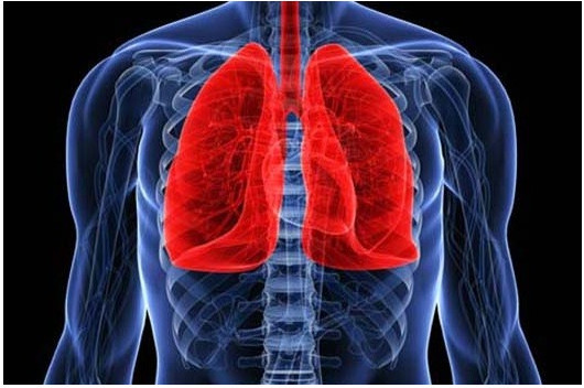대표적인 폐암 원인과 폐암 초기증상 정보