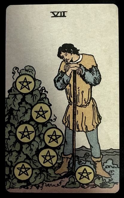 pentacles - 7. Seven of pentacles / 8. Eight of pentacles
