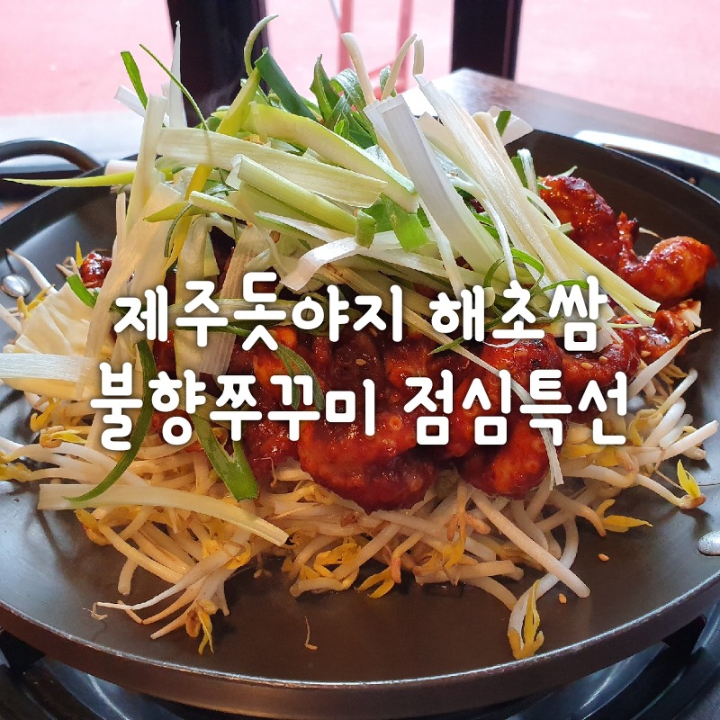 [제주돗야지 해초쌈]점심특선 불향쭈꾸미+제주생고기 김치찌개 8천원 후기