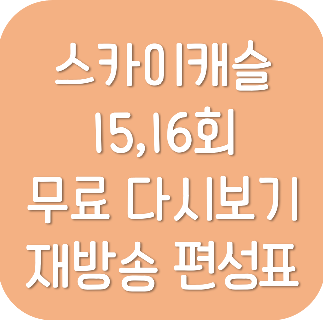 스카이캐슬(SKY캐슬) 15회 16회 무료 다시보기 재방송 편성표