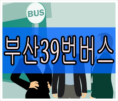 부산39번버스 최신 시간표 실시간 노선