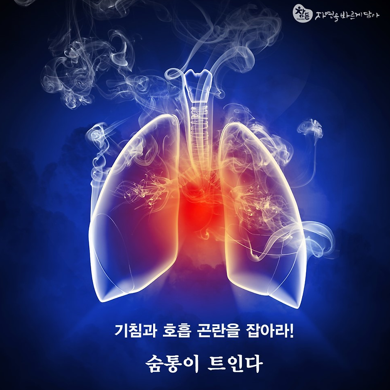 만성폐쇄성폐질환, 천식, 호흡기질환의 예방,기침,  와~~