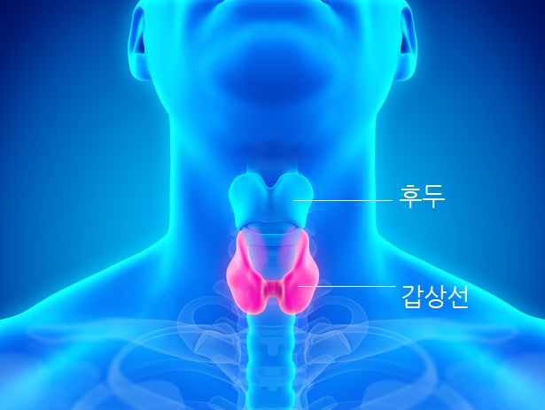 '불필요한 갑상선암 수술' 줄일 새 검사법 개발 - PNAS !!