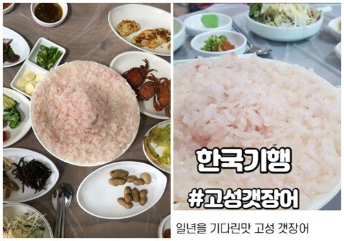 한국기행 일년을기다린맛 고성 갯장어 파는곳 위치