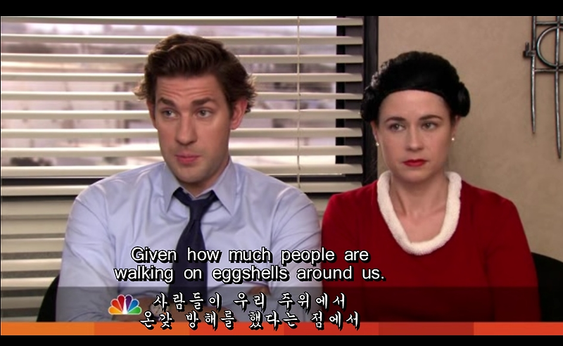 Useful English expressions from The Office Season 7 Episode 6 (미드 오피스) 봅시다