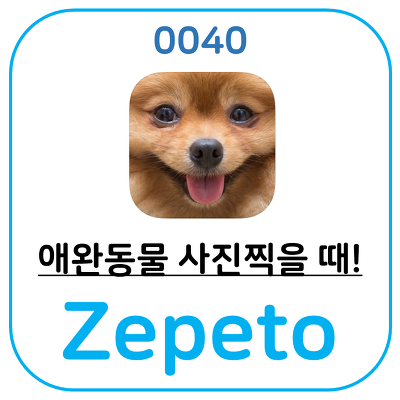 애완동물 사진 찍을 때 좋은 어플, zepeto· 제페토 어플입니다.
