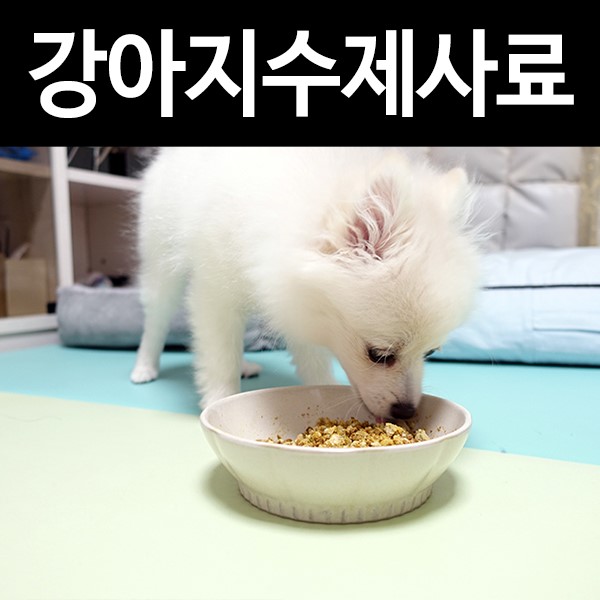 강아지수제사료 내추럴밀: 송이가 밥안먹을땐 강아지자연식