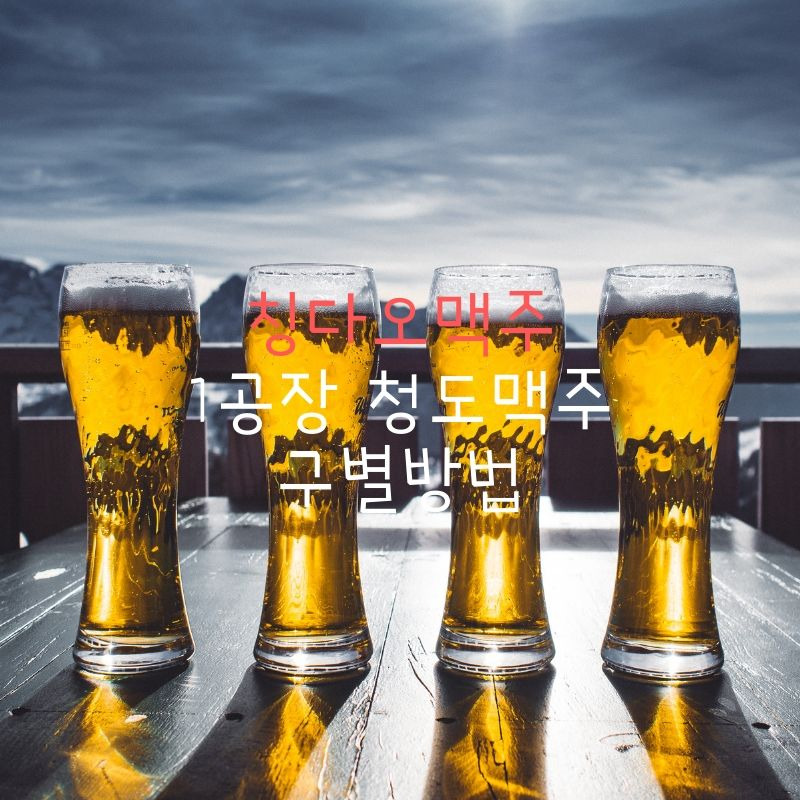 칭다오맥주~ 1공장 청도맥주 구별방법~~청도 맥주 추천~~~^^