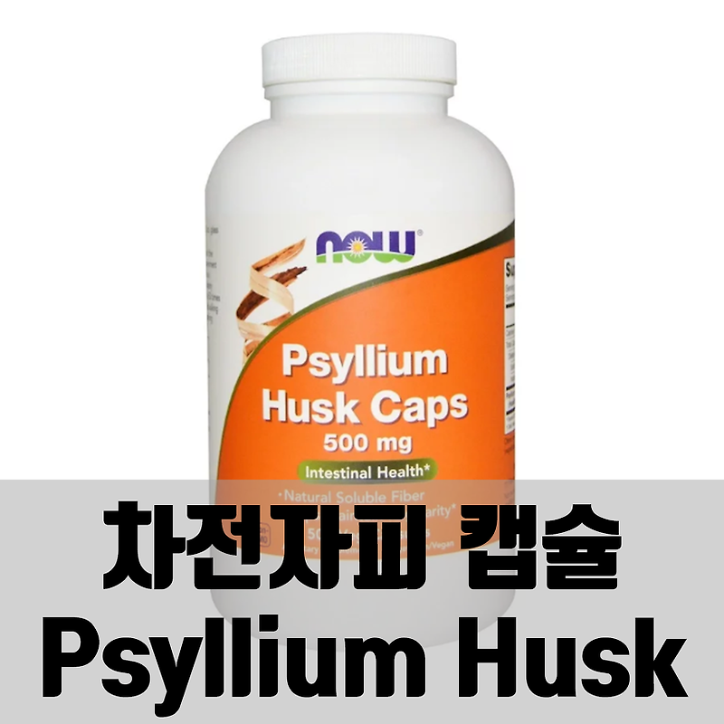 치질 변비 치료를 위한 차전자피 캡슐 Psyllium Husk 효능 효과 정리