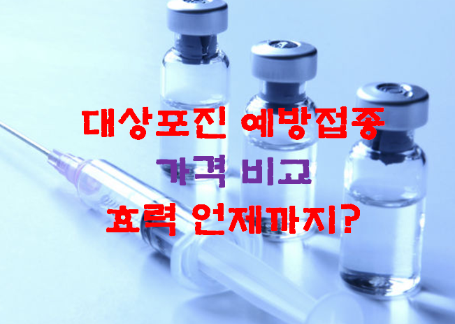 대상포진 예방접종 가격 비용 비교 부작용