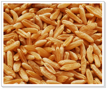 카무트쌀 효능 및 부작용, 카무트 먹는 법