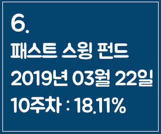6. 패스트 스윙 펀드 2019-03-22 10주차 : 18.11%