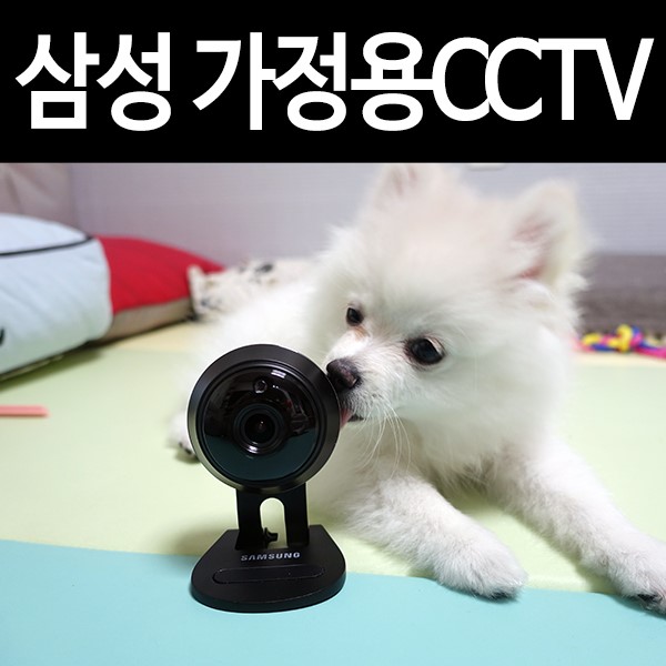 삼성 홈CCTV: IoT 가정용CCTV로 강아지 살펴보기