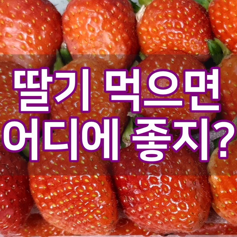 딸기 효능 10가지 :: 부작용 확인