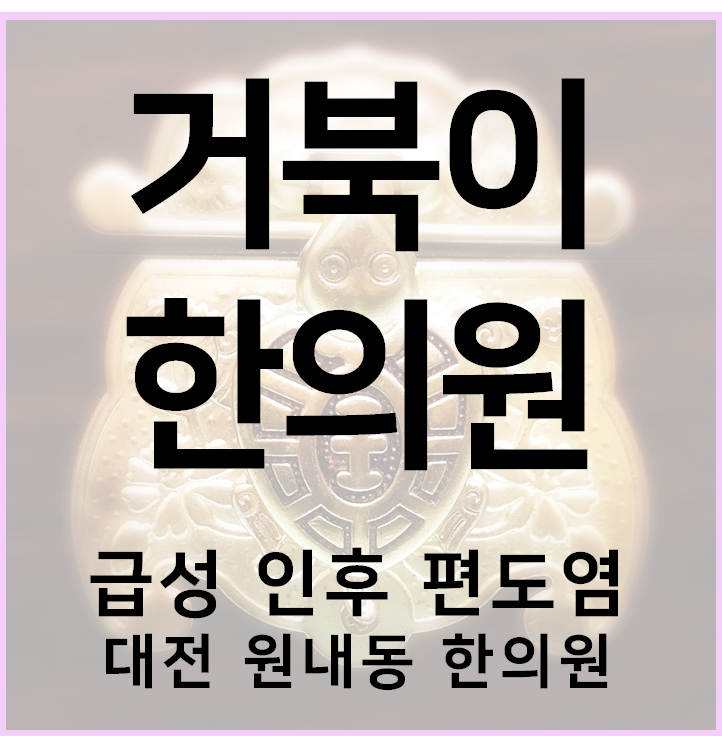 [거북이 한의원] 대전 원내동 거북이 한의원, 환절기 감기, 급성 인후 편도염