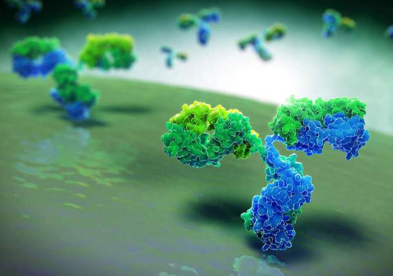 면역 요법 : 암세포를 공격하기 위해 면역 체계를 가르치는 비결