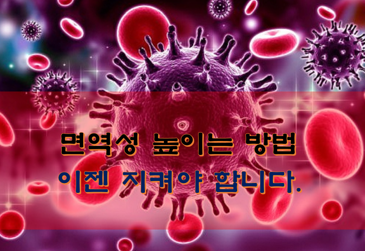 면역성 높이는 방법 호흡기 전염성 바이러스 필수