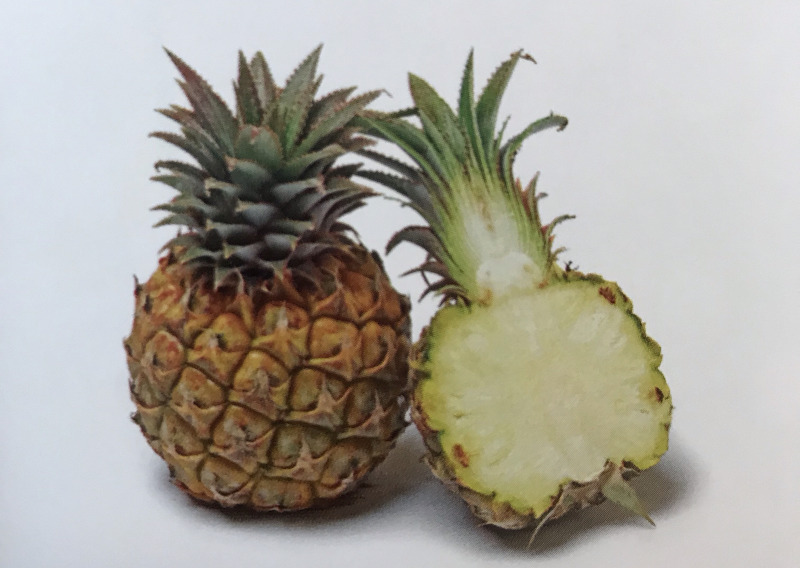 [아바카쉬 파인애플]Abacaxi pineapple [아조레스 파인애플]Azores pineapple