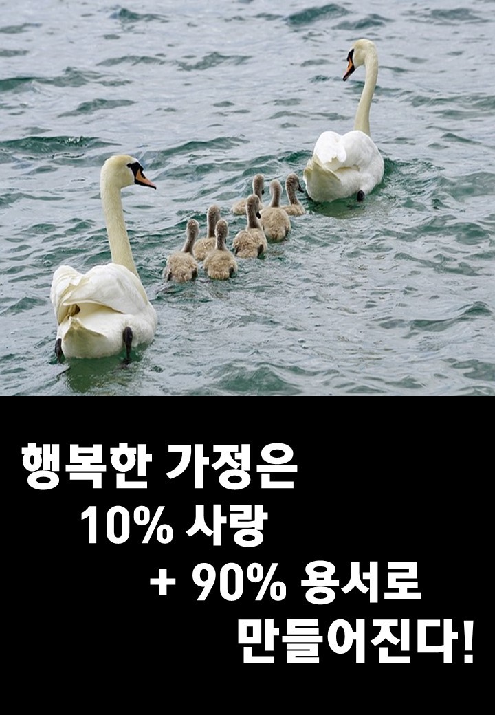 행복한 가정