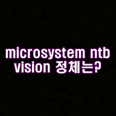 microsystem ntb vision 정체는?