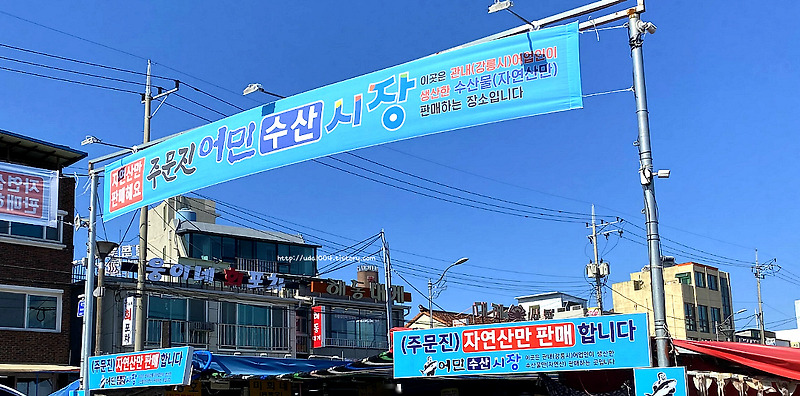 강릉 주문진어민수산시장 홍게 오징어회 가격 및 구입 후기