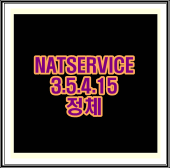 nat service 3.5.4.15 정체는?