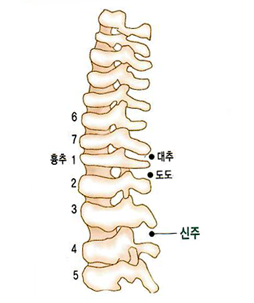 12. 신주(身柱) - 신천침법 상봉경희한의원