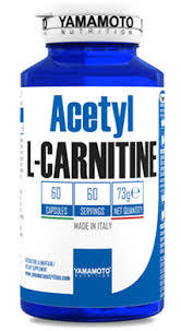 아세틸-L-카르니틴(ACETYL-L-CARNITINE)의 효능과 부작용, 복용시 주의할 점