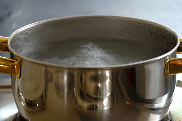 차가버섯 효능 먹는법 부작용 끓이는법