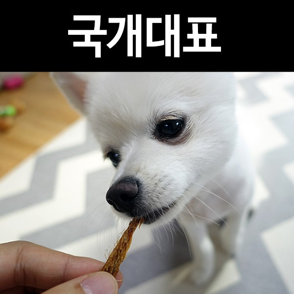강아지간식사이트 국개대표: 강아지수제간식 15종 샘플러