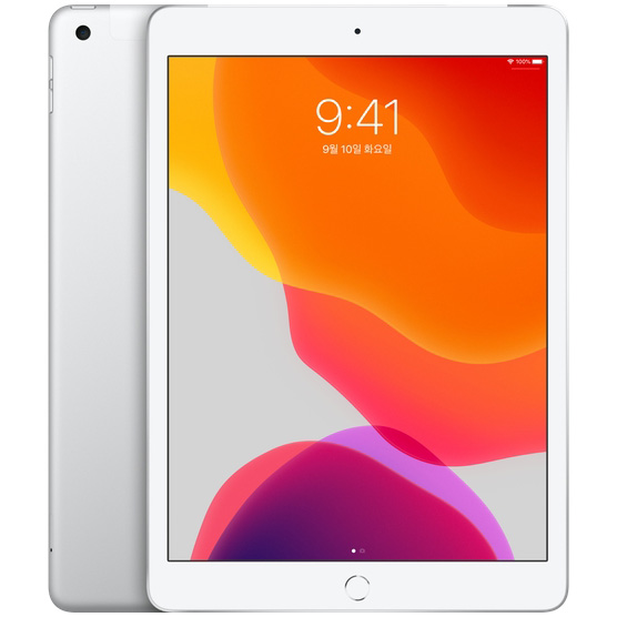 최저가 오늘만 이가격 Apple 2019년 iPad 10.2 7세대, Wi-Fi+Cellular, 32GB, Silver, LGU+ 유심 포함