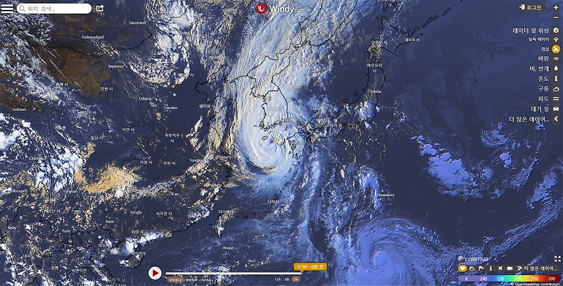 Windy에서 마이삭 태풍 위성 사진