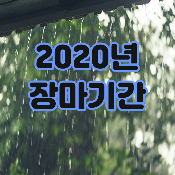 2020년 장마기간(feat. 장마철 주의사항)