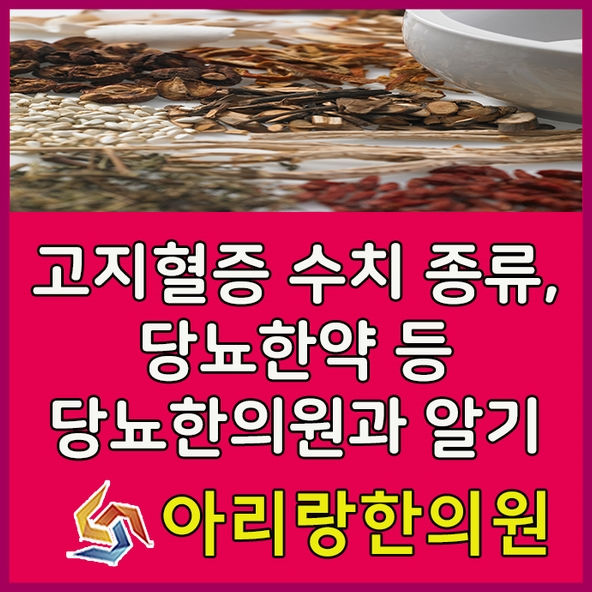 고지혈증 원인 당뇨? 고지혈증 수치 종 정보