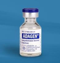 아다젠(Adagen)의 효능과 부작용, 복용시 주의할 점