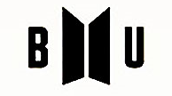BU: BTS UNIVERSE   Narratives and Set-up(?) ~처럼