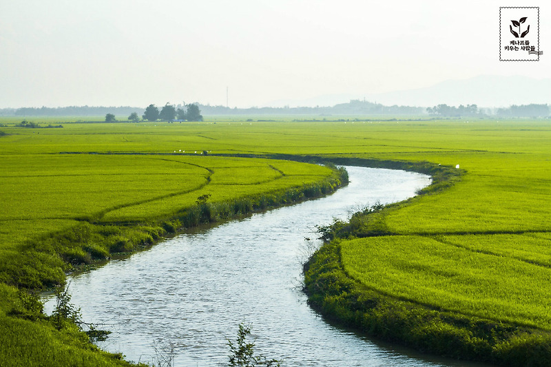 베트남 _ 농사에 대한 짤막한 글