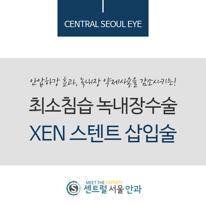 녹내장수술방법 중 하본인인 XEN 확인