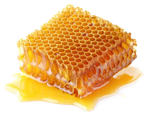 꿀의 효능에 대해 알아봅시다.