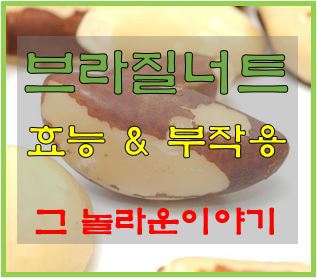 브라질너트 효능 부작용 총정리 !