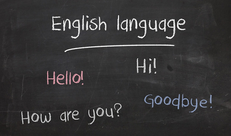 원어민 교사의 영어 교육