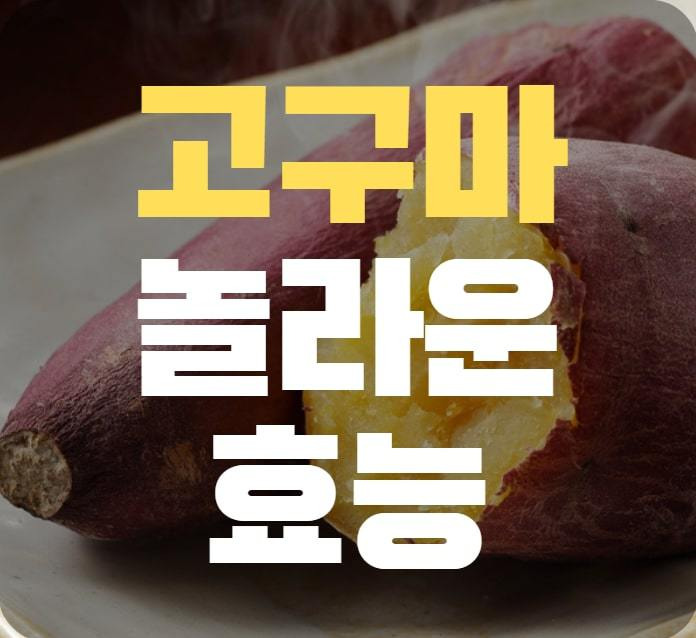 고구마 효능 당신만 보세요