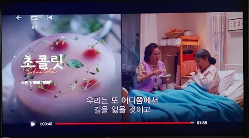 넷플릭스 추천 : 초콜릿 (드라마, 2019) 좋은정보