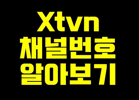 xtvn 채널번호 간단안내