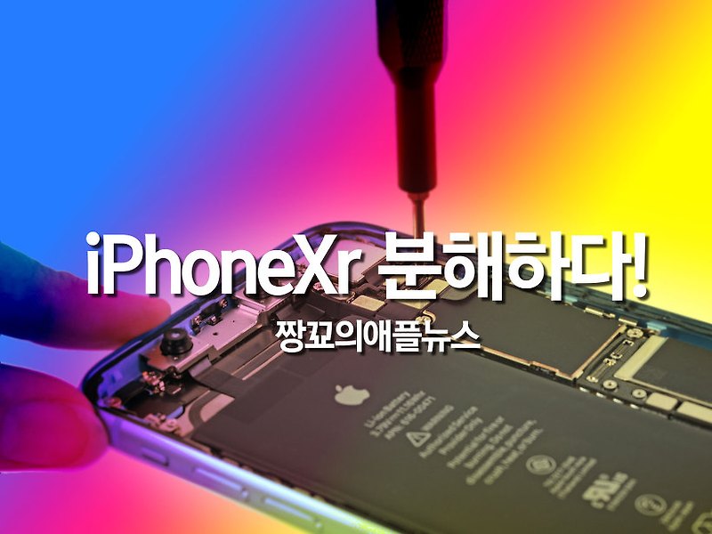 [짱꾜의애플뉴스] iPhoneXr(아이폰Xr) 분해 영상 - iFixit에서 드디어 아이폰Xr을 분해했습니다!