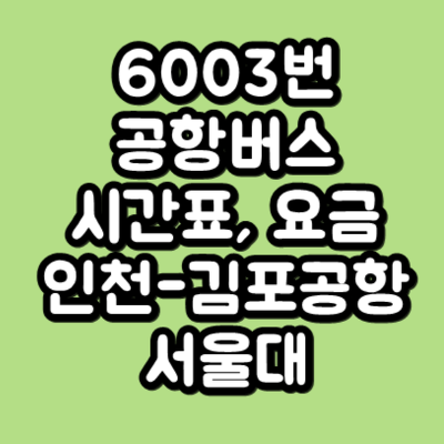 6003번 공항버스 시간표, 요금 (인천공항-김포공항-구로-서울대)(Incheon Airport ↔ Seoul National  University)