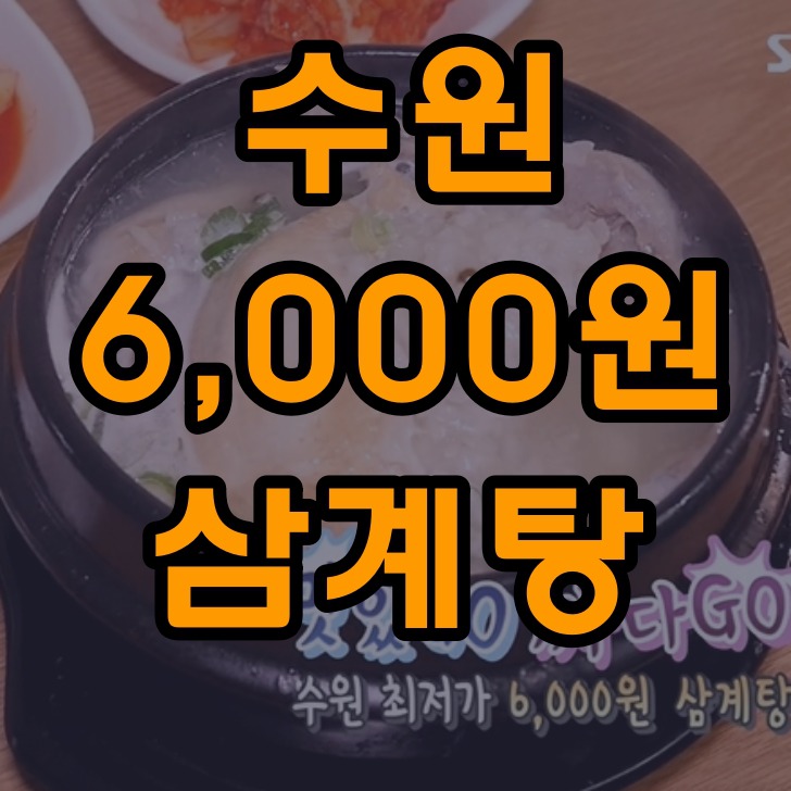 생방송 투데이 수원 6000원 삼계탕 맛집 가격도 만족, 맛도 만족 여기!