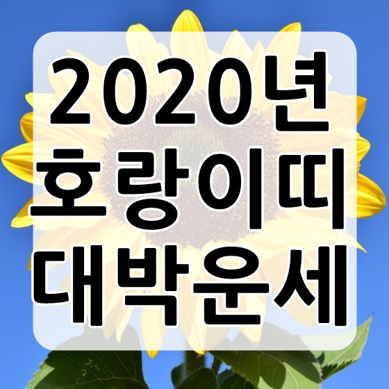 2020년 호랑이띠 운세 이러니 대박이지