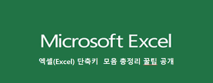 엑셀(Excel) 단축키 모음 총정리 꿀팁 공개
